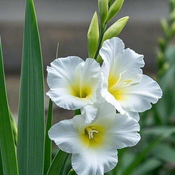 d28c0b47bb961fddf581bd598e2449fb