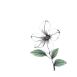 flower-violet-b_oAcgge